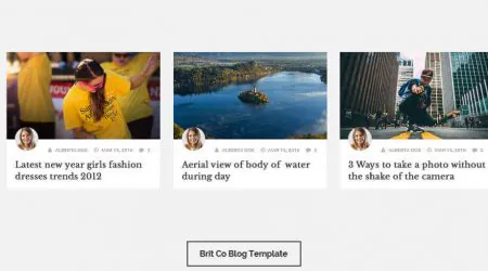 Blog Designer – Brit Co Template